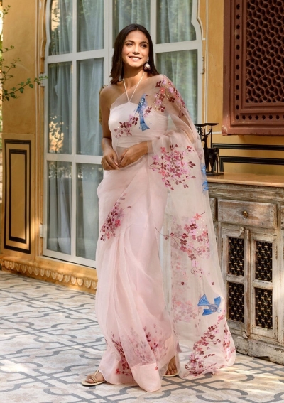 Bollywood Model Light Peach Pure Organza hand work saree