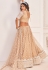 Net circular lehenga choli in Beige colour 2117