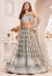 Net circular lehenga choli in Grey colour 2118