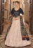 Georgette a line lehenga choli in Pink colour 2201