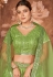 Organza a line lehenga choli in Light green colour 4004