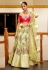 Net a line lehenga choli in Pista green colour 1018