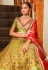 Net a line lehenga choli in Mehndi colour 1016