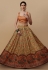 Silk kalamkari circular lehenga choli in Mustard colour 1507