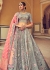 Woven Zari Banarasi silk lehenga choli in Grey color