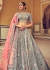 Woven Zari Banarasi silk lehenga choli in Grey color