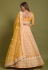 Net a line lehenga choli in Orange colour 1071