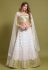Net a line lehenga choli in White colour 1074