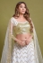 Net a line lehenga choli in White colour 1074