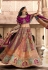 Banarasi silk circular lehenga choli in Grey colour 10233