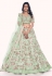 Soft net circular lehenga choli in Pista green colour 36013