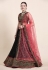 Net a line lehenga choli in Black colour 5021