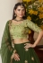 Net circular lehenga choli in Green colour 4205
