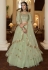 Net circular lehenga choli in Pista green colour 4202