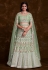 Pista green net a line lehenga choli 75014