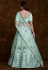 Sea green net a line lehenga choli 75024