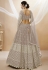 Light brown georgette circular lehenga choli 302