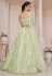 Pista green net lehenga choli for women 87013