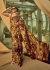 Digital Tiger stripes Print satin saree in Golden brown color 1408