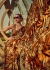 Digital Tiger stripes Print satin saree in Golden brown color 1408