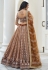 Brown net circular lehenga choli 2132