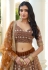 Brown net circular lehenga choli 2132