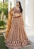 Brown net circular lehenga choli 2132