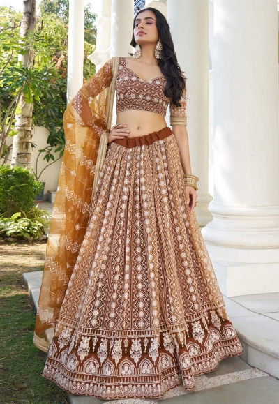 Brown net circular lehenga choli 2132