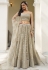 Grey net lehenga choli 2133