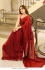 Bollywood Model Red georgette sequins embroidered saree