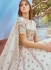 Off White Crush Tissue embroidered bridal lehenga choli