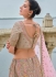 Traditional Bridal Dusty beige Silk embroidered lehenga choli AA147