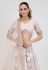 Off white net lehenga choli 1061B