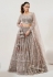 Brown net lehenga choli for wedding 1064B