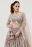 Brown net lehenga choli for wedding 1064B
