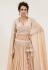 Beige georgette lehenga choli 1067B