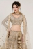 Beige net circular lehenga choli 1062
