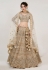 Beige net circular lehenga choli 1062