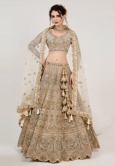Beige net circular lehenga choli 1062