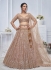 embroidered beige net a line lehenga choli KF22B