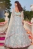 Sky blue net lehenga choli 202732