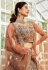 Brown net a line lehenga choli 202745