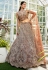Brown net a line lehenga choli 202745