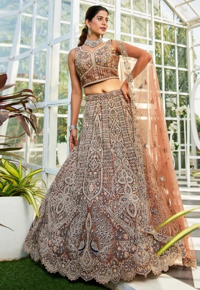 Brown net a line lehenga choli 202745