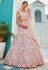 Pink tissue a line lehenga choli 202729