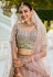 Multicolor net lehenga choli 202727