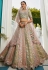 Multicolor net lehenga choli 202727