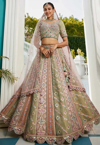 Multicolor net lehenga choli 202727