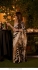 Bollywood model vichitra silk digital print party wear saree