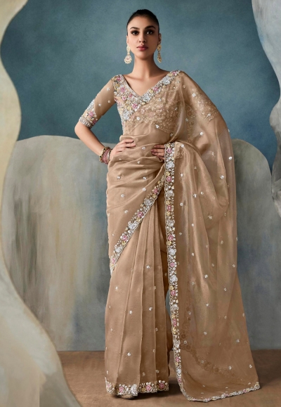 Brown tissue saree with blouse 5425